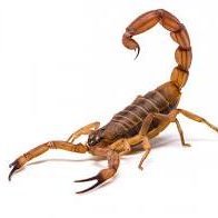 willsme57's profile picture. 📊 Day Trader & AI Productivity Builder | 💭 Mastering discipline, growth & digital wealth — inspiring others to do the same.
🔥 Follow for daily trading insigh