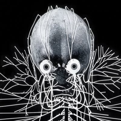 TheIdiotCard's profile picture. 