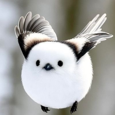 9a1bxxx8ub83528's profile picture. #真実は必ず明らかになる✨京都生まれ🌸結婚後札幌市民🍀猫🐈も犬🦮も動物大好き💖（爬虫類はちょっと苦手💦）