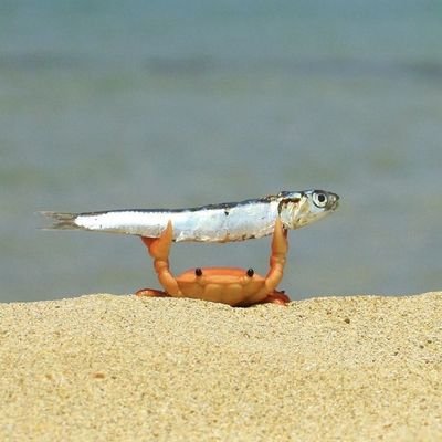 BVf0a's profile picture. 色んなゲームやってます🎮モンスト/ユメステ/ブルアカ/ステラソラ/音ゲー/マイクラ/カードゲーム