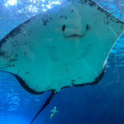 RubyFan369's profile picture. I chase quiet trails, good coffee, long train rides, and books that stay with me