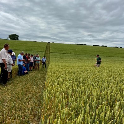 ryanhyden89's profile picture. Sports fan and craft beer enthusiast. UK Sales Manager for KWS UK.