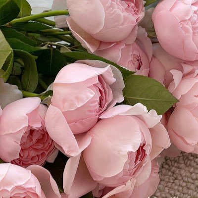 BAlrhym78759's profile picture. 