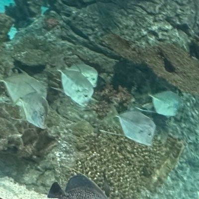 MissTiny3717's profile picture. my opinions are my own…Follow and engage. IFB