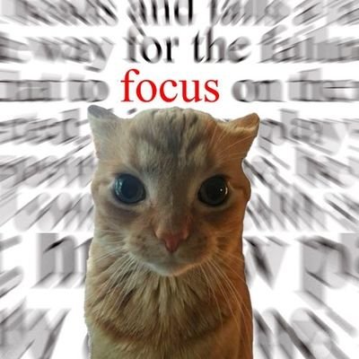 Ihaxxional's profile picture. Eu falo de três coisas: cursos que tô fazendo, sofrimento generalizado e meu namorado 

💞 @ApenasJyugo 31/07 💍