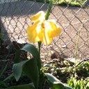 Caroline McCoy - @McCoyCaroline - Twitter