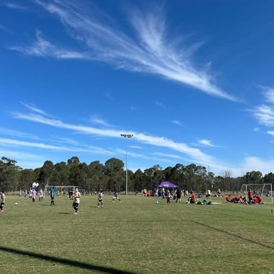 plau13's profile picture. 