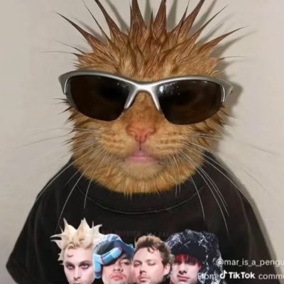 dailysauced's profile picture. #EVERYONESASTAR