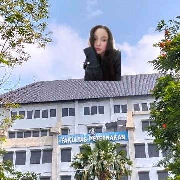 517file's profile picture. ilov capi