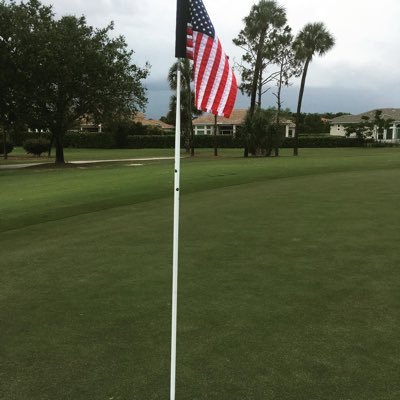 Anonymous747301's profile picture. 