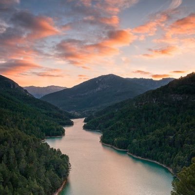 antoniortunon's profile picture. 