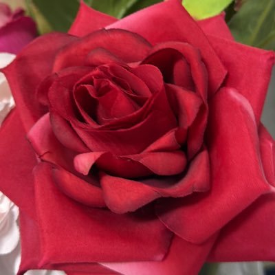 RaufiSami's profile picture. I spent most of my time on studying