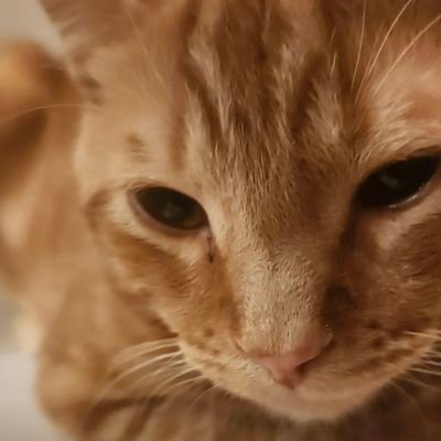 Forum322356Dev's profile picture. No Idea.