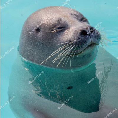 LAYKIM21361328's profile picture. Only edge🦭