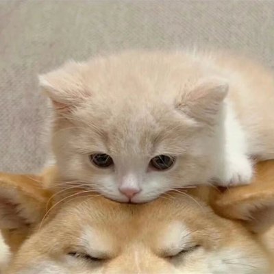 WindQd0412's profile picture. The sunset I watched in Italy made time stand still. 🌇