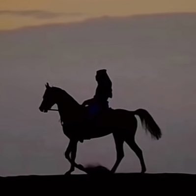 DAMi__SHAMR's profile picture. 