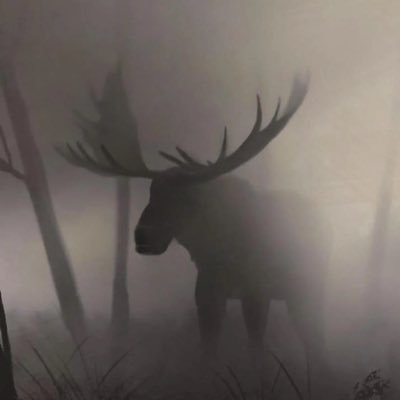 youvebeenmoosed's profile picture. 