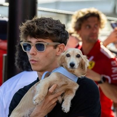 Zenhorinha's profile picture. HDT ❤️🖤