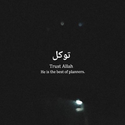 wallofmotive's profile picture. 