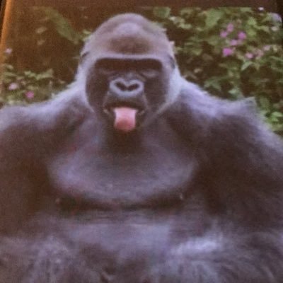 Copewithitnow's profile picture. 