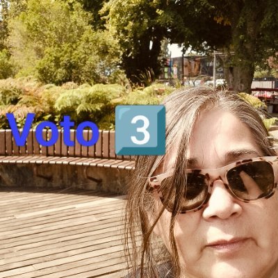 e_millapi's profile picture. #ChileVotaEnContra
#Laconvenciónsedefiende
#NoaDominga 
 #NOalTPP11
#ÁreasProtegidasSinSalmoneras
PROGRESISTA  
#Apruebo4deSeptiembre2022