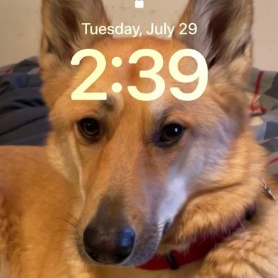 ExcuseMyLingo4's profile picture. just a dog