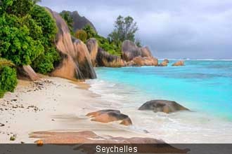 SuccessfulLivin's profile picture. 