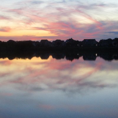 acenelson8_poet's profile picture. "...every atom belonging to me as good belongs to you." --Walt Whitman
I don't reply to DMs, to avoid conversing with bots.