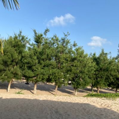 smodoulamin951's profile picture. always be kind love and humanity has no color it’s never too late to be better 😭 Broken but loved 🫂 ✝️ Living for Christ 🛐 Prayer is my power 📖