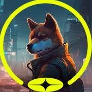 CoinT0kenNFT's profile picture. @Galxe @spaace_io Plume Goon @MorphLayer