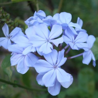 bodhisattvo504's profile picture. 耳が聞こえません。聞こえないことは、孤独である。だから私は、言葉を綴る。日々をただ、穏やかに暮らすために。趣味はビル活。My hearing loss brings solitude. So I go on writing, and explore buildings.