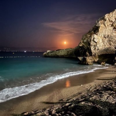 wiwi_egh212's profile picture. 🇵🇸🇵🇸