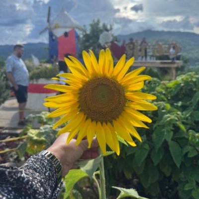 Rosie1877397932's profile picture. ୧⍤⃝🍓 ୧⍤⃝🐥୧⍤⃝🌭୧⍤⃝🍢୧⍤⃝🌽 .                                           .
https://t.co/YWjJ0H14sW