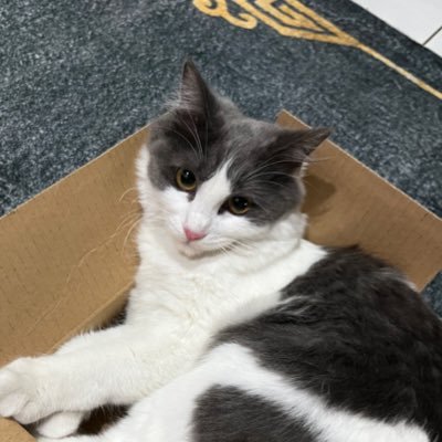 vennave's profile picture. 