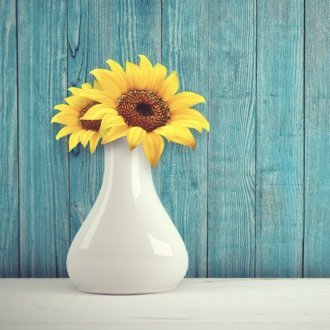 Vigilante_PT's profile picture. カナダのビクトリアで永住を目指して生活しています ブログ/オモコロ好き 2500円で単発ラジオの相方を務め、編集・アップロードまでやります。憧れのラジオを撮ってみませんか？ マシュマロ→https://t.co/zFVJbcSq42 案件のご依頼もお待ちしています