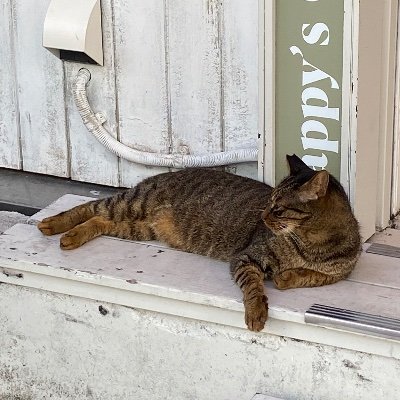 amomomo114's profile picture. ヒメヒナ垢始めました！🥕/ひっそりとジョジしてました/20↑/無言フォロー失礼します/仲良くしてくれたらめちゃくちゃ喜びます