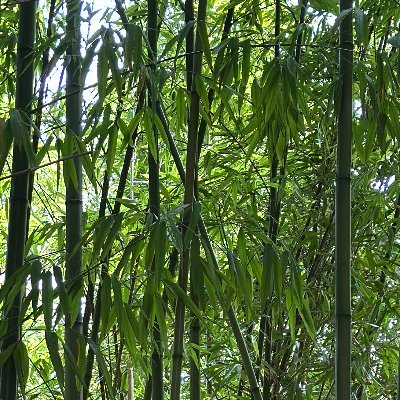 liman's profile picture. Executive coach. CX and EX thought leader. Social innovator. Systems thinker. Empathy igniter. Foodie. Gadget geek. #FutureOfWork #FRSA