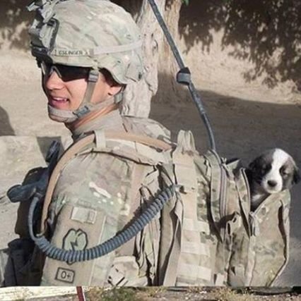 abinhaeG67602's profile picture. 