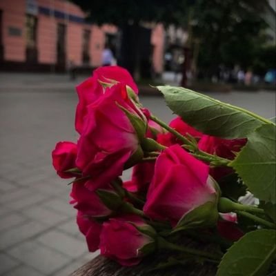 HAldwm36894's profile picture. 