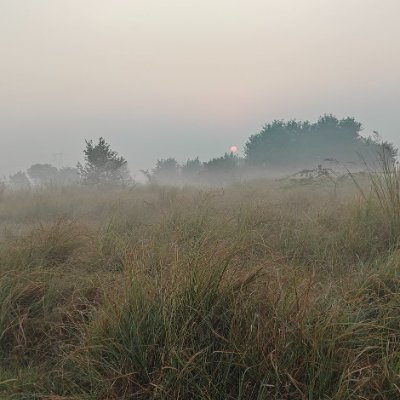 BBEHERA1182551's profile picture. NL 🎄🎋🍁🌴🌲