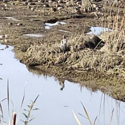 newp03's profile picture. 