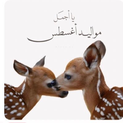 0najd2007's profile picture. ان حكينا ندمنا ونسكتنا قهر