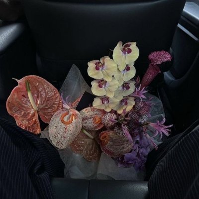 Sotomurajuby's profile picture. 受限中正在陆续回关