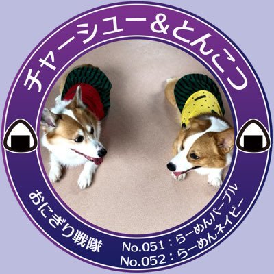 roast__pork0515's profile picture. ❁⃘2015/05/15生まれの1号🐶♂ ❁⃘2018/10/17生まれの2号🐶♂ ❁⃘2020/春頃生まれの3号🐈♀ ❁⃘2021/春頃生まれの4号🐈‍⬛♂ 犬猫先生たちの日々をツイートしてゆくのです