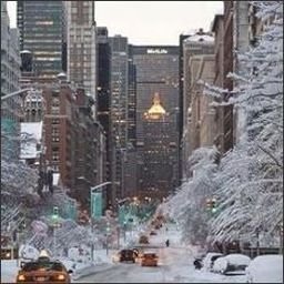 Dramie79252's profile picture. 