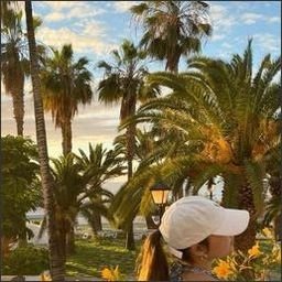 Ferieru924's profile picture. 