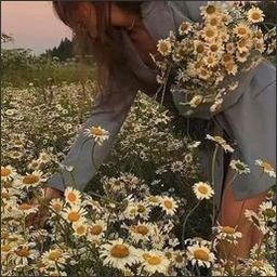 Hoosee151826's profile picture. 