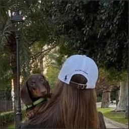 Ooberqo0656384's profile picture. 