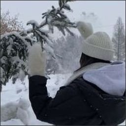 Rifauj1776157's profile picture. 