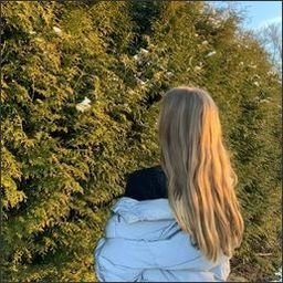 Uverkin23581's profile picture. 